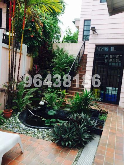 Highgate (D21), Terrace #70802951